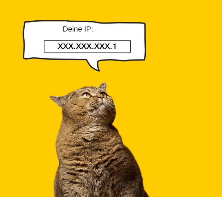 Einfach Ihre IP Adresse herausfinden